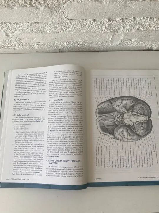C027 Livro Neuroanatomia Angelo Machado 3ª edição com todas as páginas excelente - Foto 4