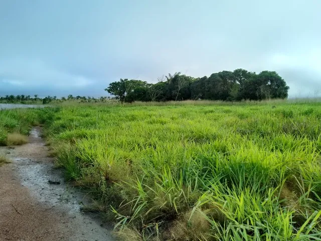 Fazenda a venda na beira do lago