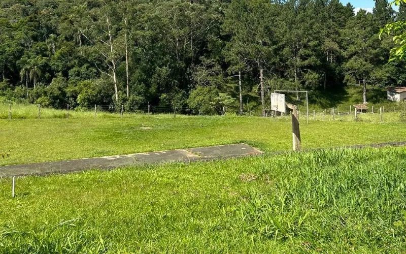 O verde que você merece - Foto 5