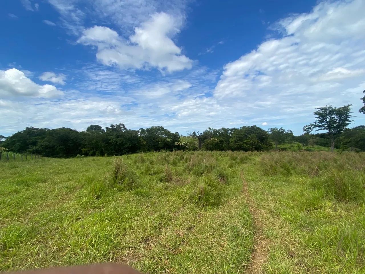 Fazenda 48 hectares  - Foto 2