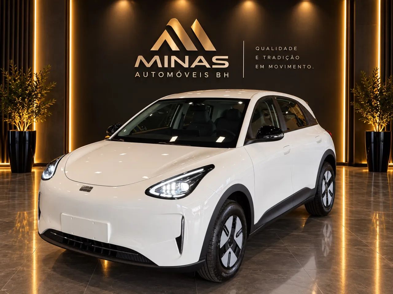 Geely EX2 Max 2026