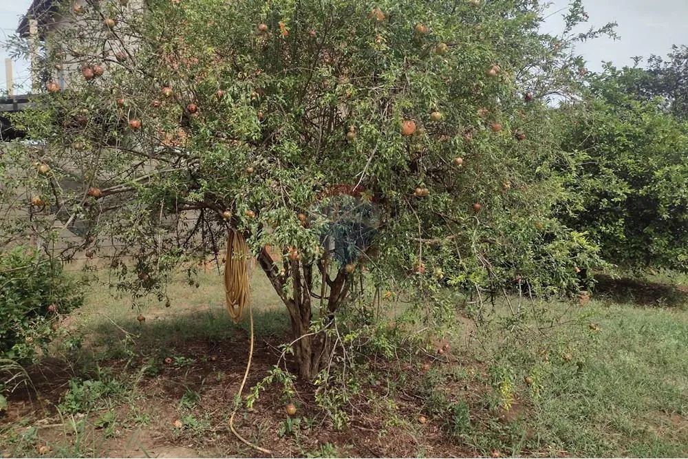 Terreno em Cosmópolis à venda - Foto 5