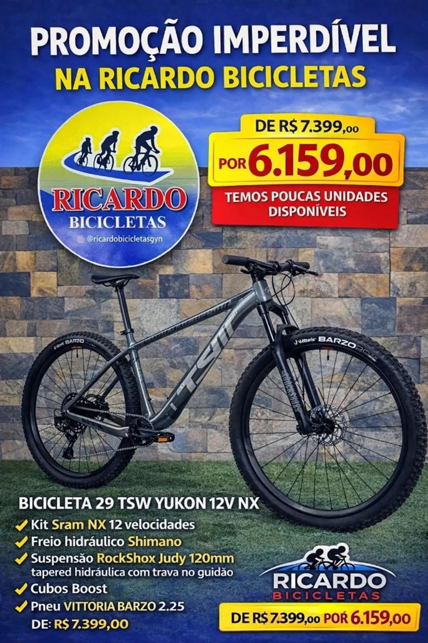 BICICLETA 29 TSW YUKON 12V NX