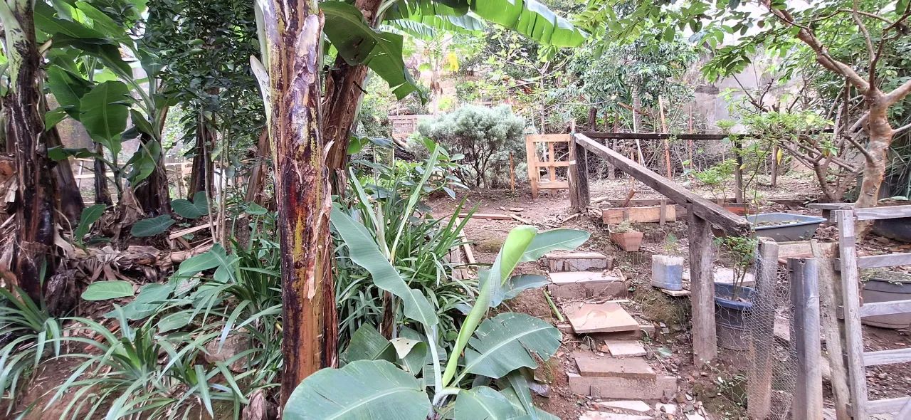 Lote para venda, 386m², Mangabeiras - Foto 4