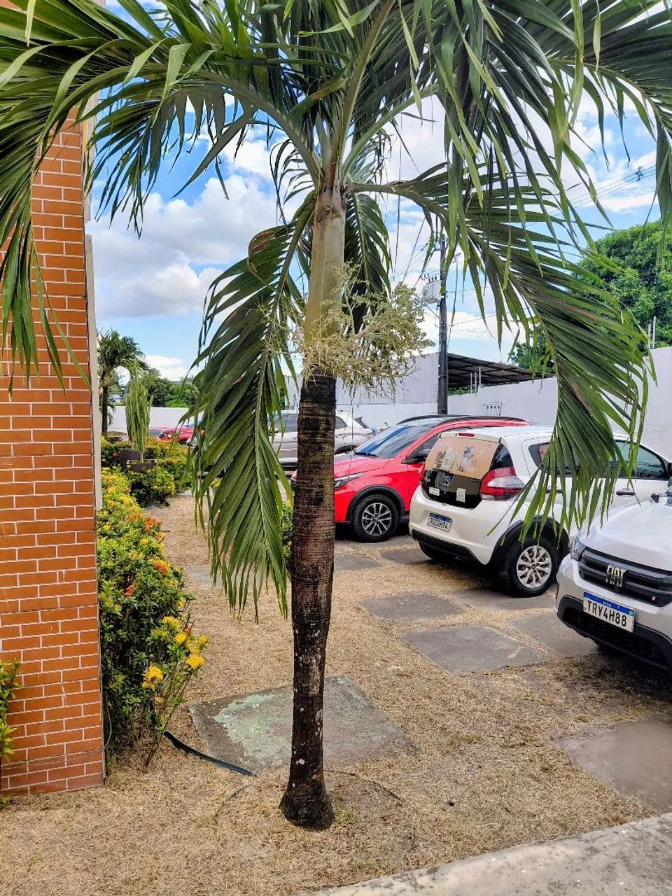 Vende Apto em Flores - Foto 5