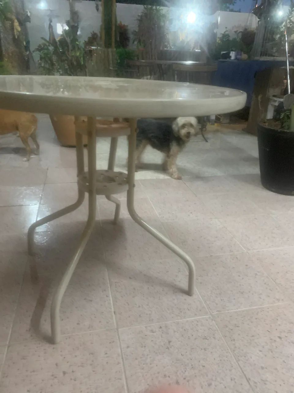 Mesa - Foto 2