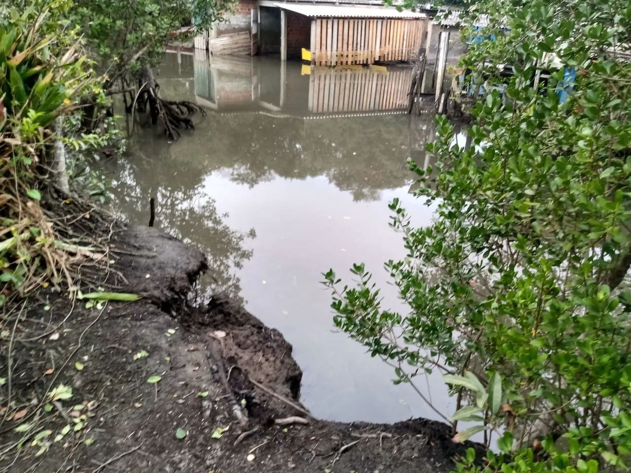 Vendo chácara em Alexandra - Foto 4