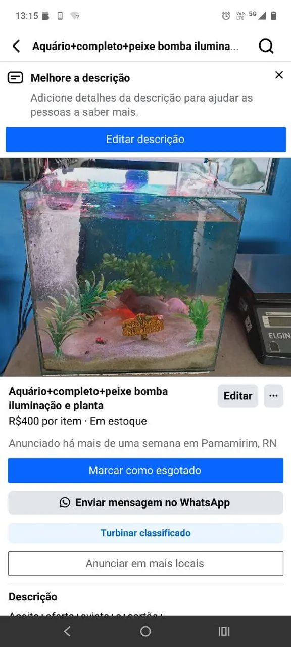 Aquário completo 