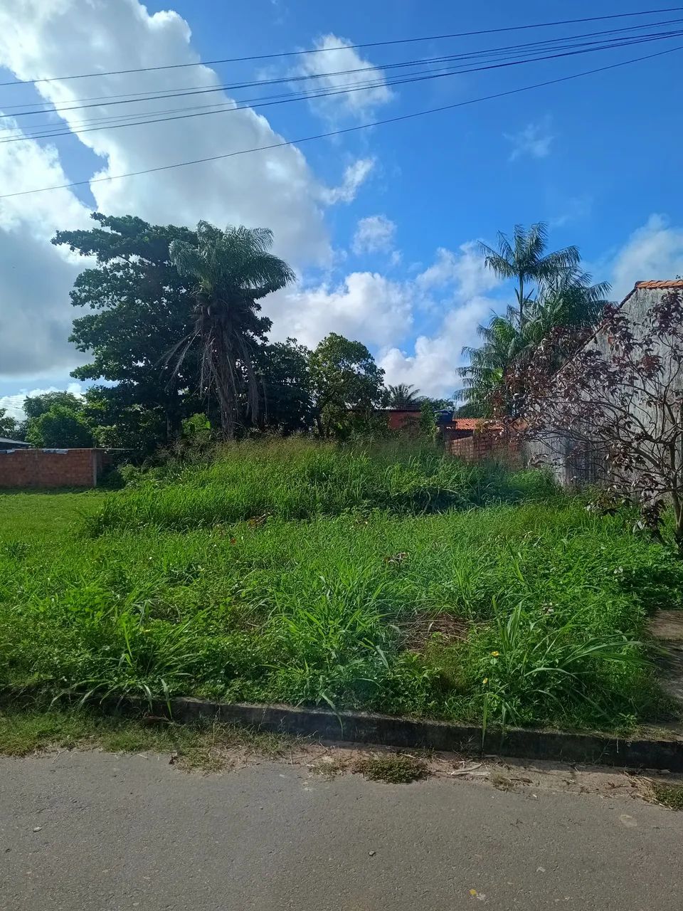 Terreno grande - Foto 3