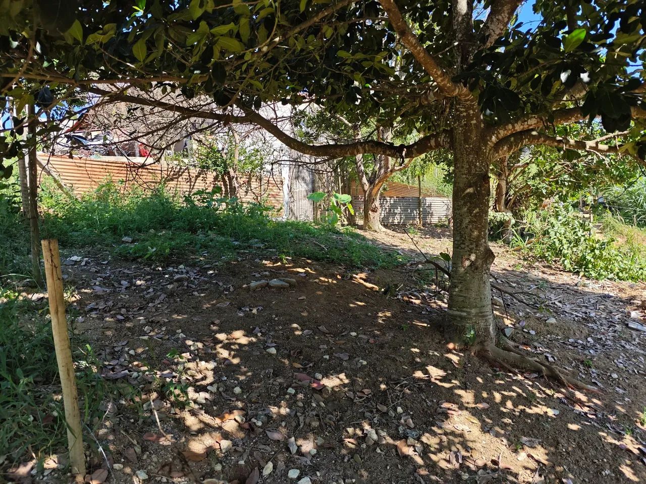 Lote  - Foto 3