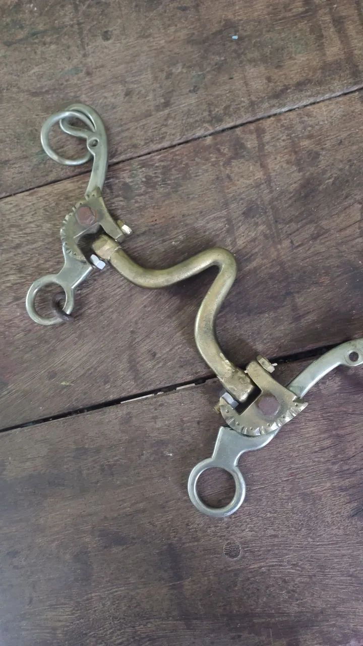 Arreios de cavalo  - Foto 2
