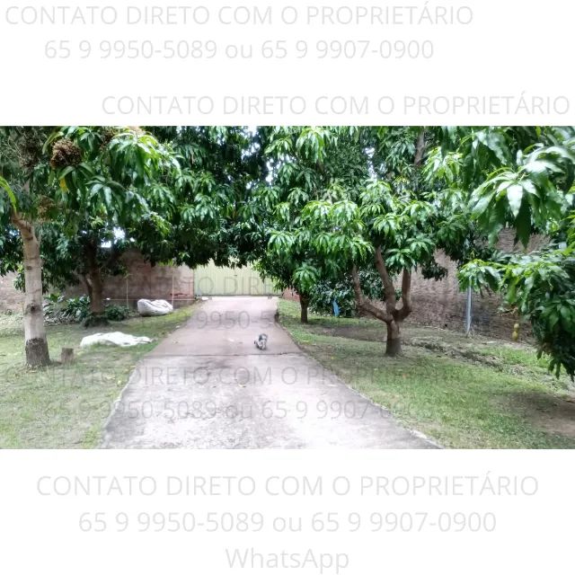 Chácara em Cuiabá-MT a Venda - Foto 3