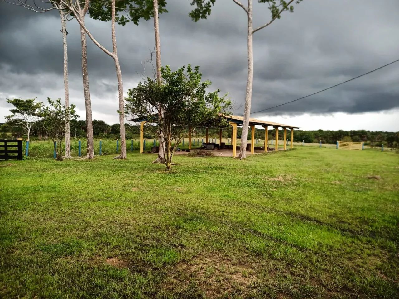 Fazenda com 733 hectares para pecuária - Foto 3