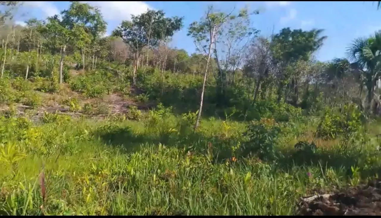Terreno na beira do brejo - Foto 2