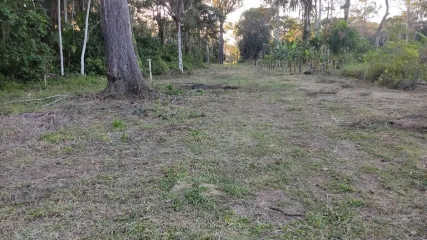 Linhares - Chácara 3.000m² - 12km do Centro - Foto 2