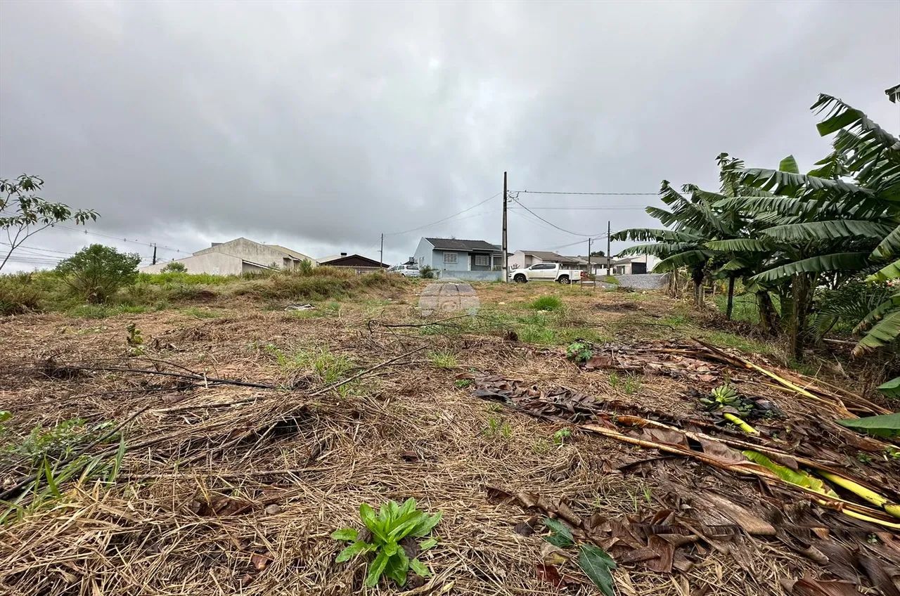 Vendas Terreno Pato Branco PR - Foto 3