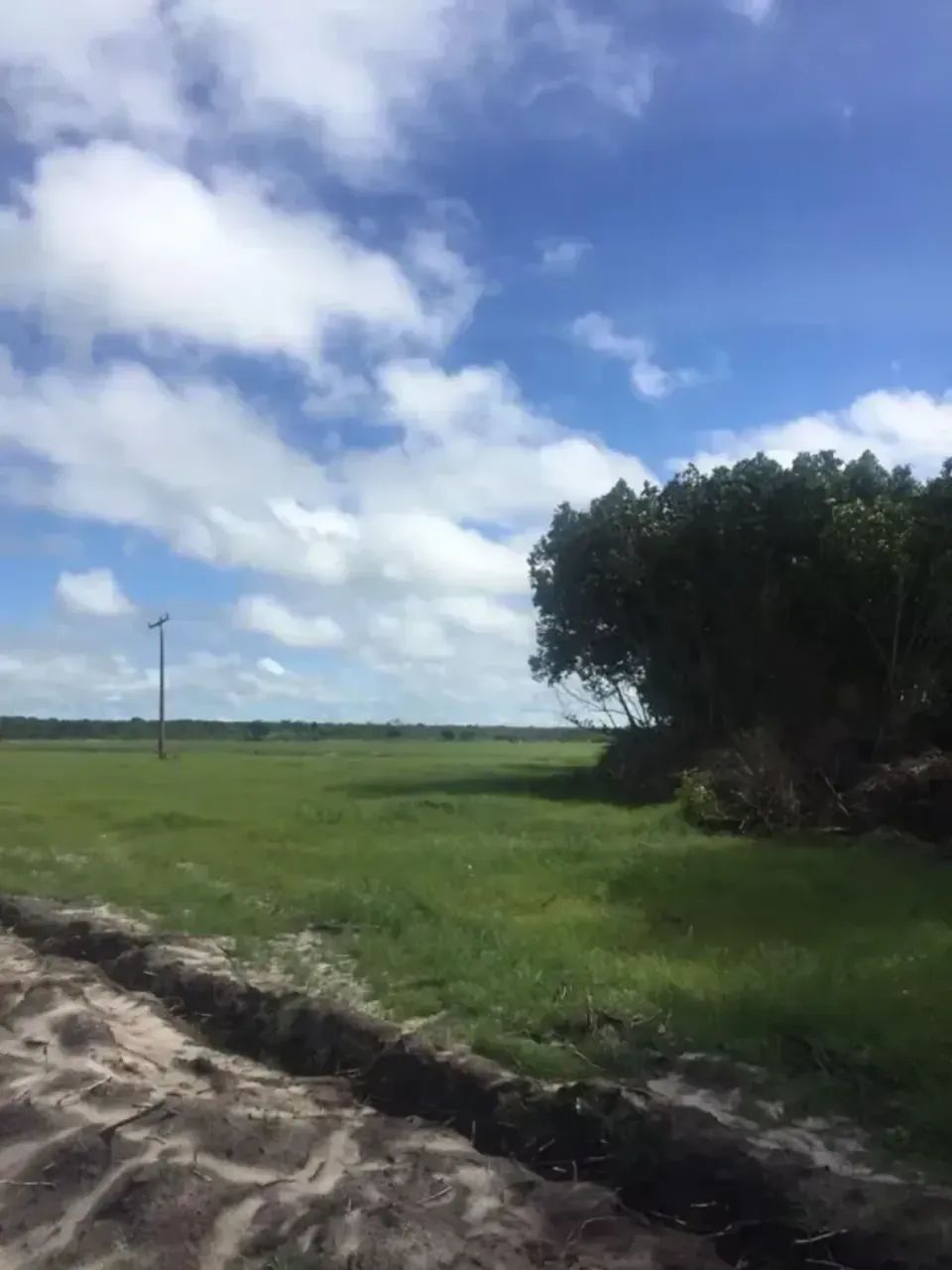 fazenda com 60 hectares próximo do aeroporto - Foto 5