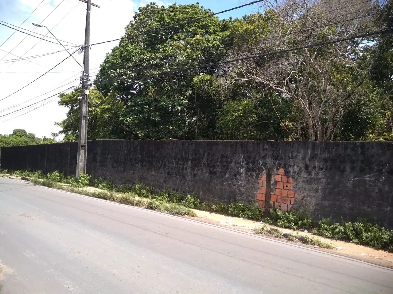 Terreno Na Colonia Santo Antonio - Foto 2