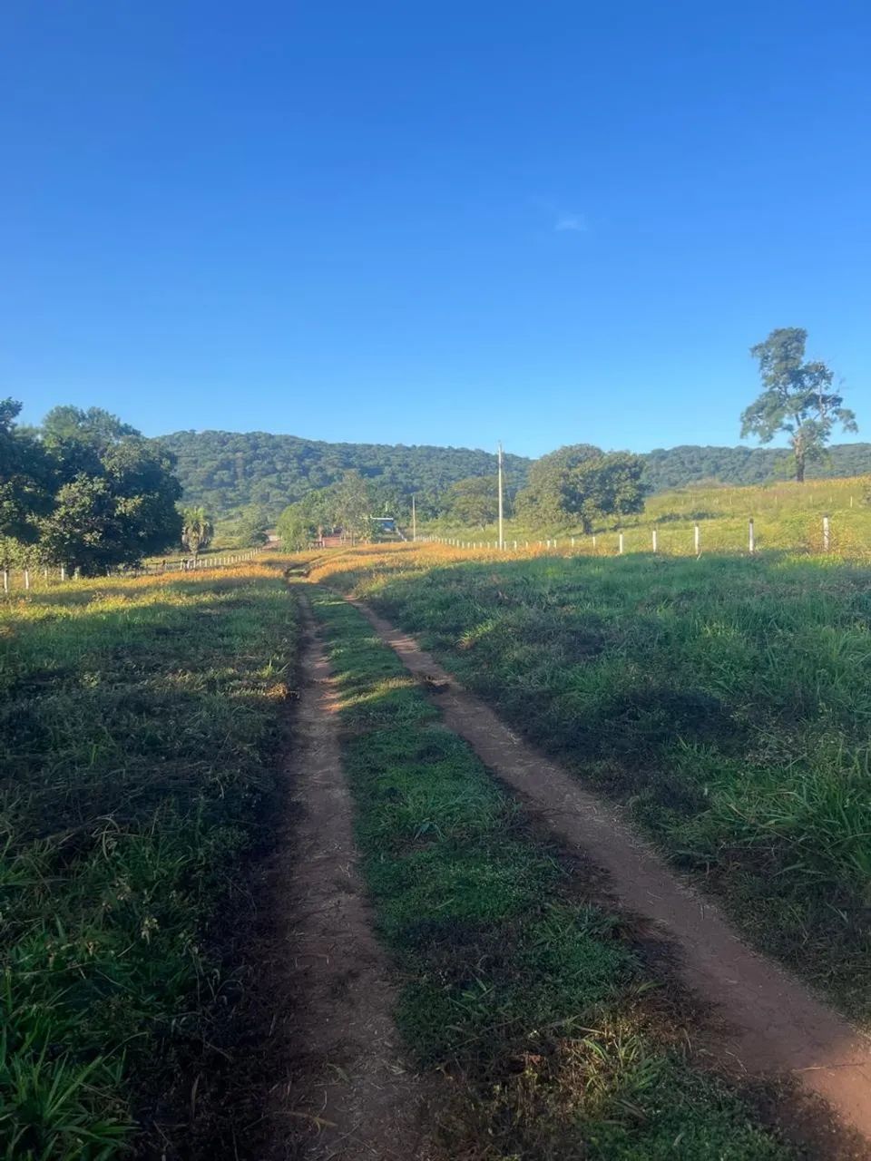 Imóvel rural no varjão em Varjão - Foto 2