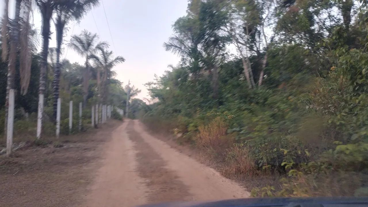 Ramal bela vista janoari  - Foto 5