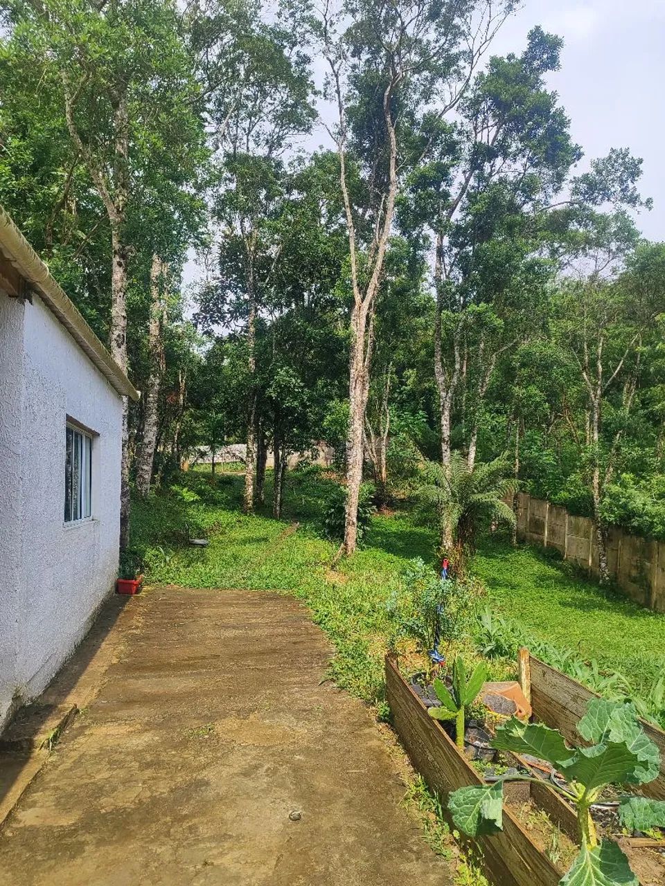 Sítio em São Lourenço da Serra com casa construída  - Foto 2