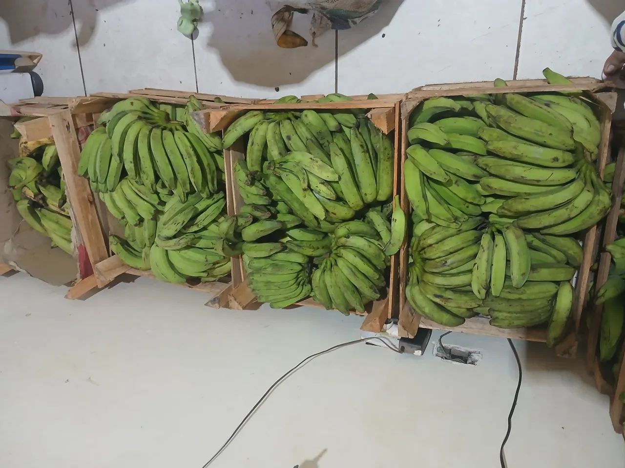 Vendo Banana ?  - Foto 3