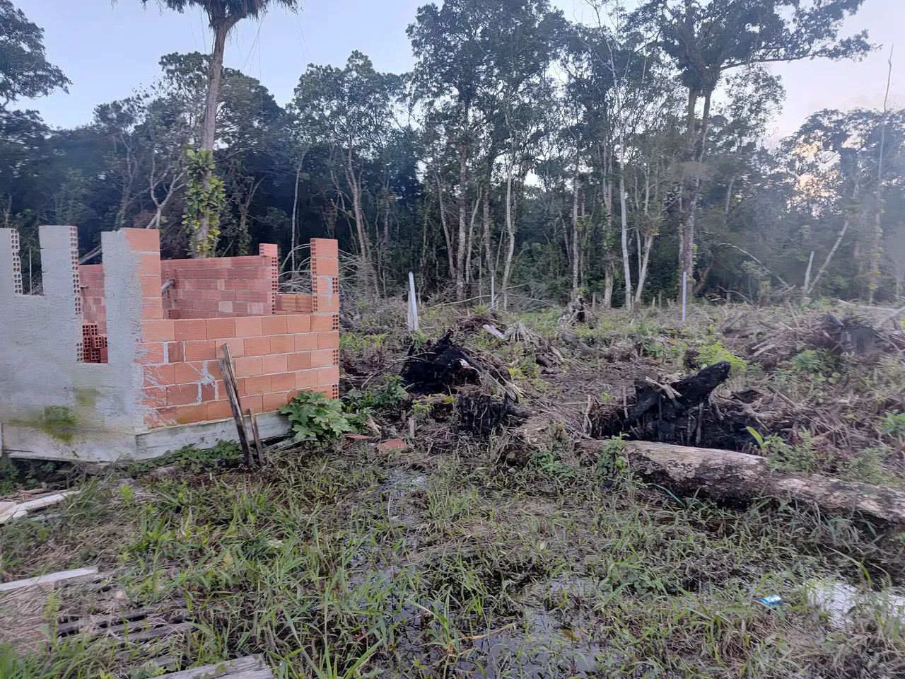 Terreno em guaratuba - Foto 2