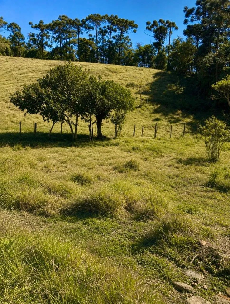 Terreno em visconde de mauá - Foto 3