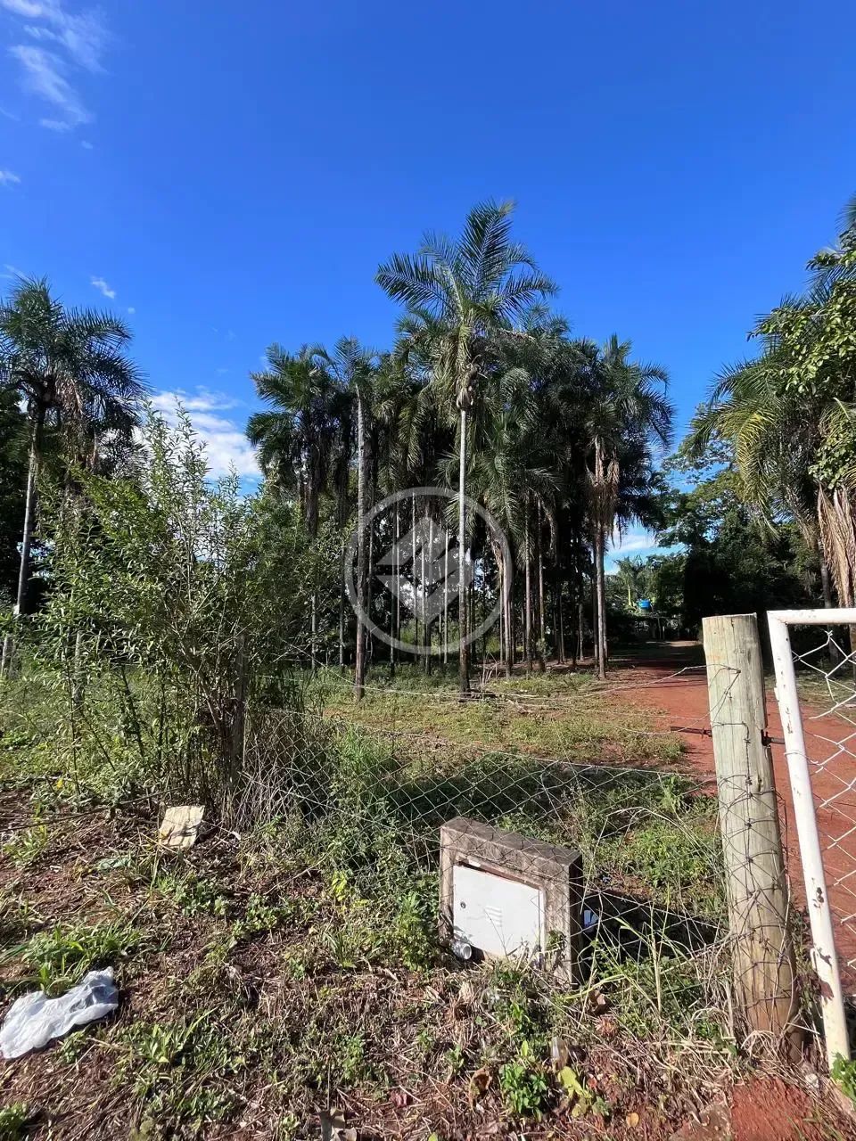 Área Imperdível em Goiânia!!! codigo: 324514 - Foto 4