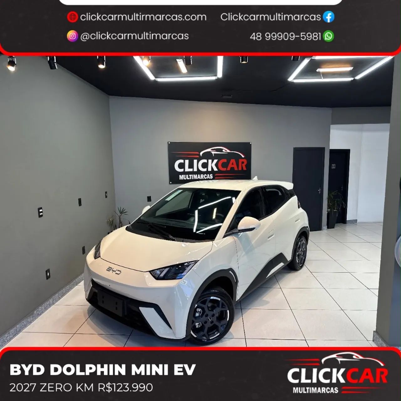 BYD Dolphin EV (Elétrico) 2027