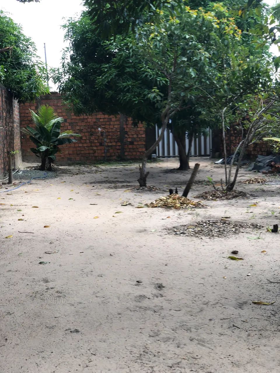 Vendo sítio com casa - Estrada da Raposa - Foto 4