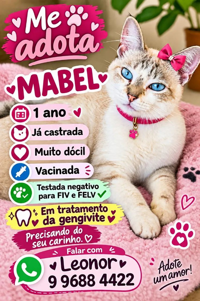 GATAS LINDAS E CASTRADAS - Foto 3
