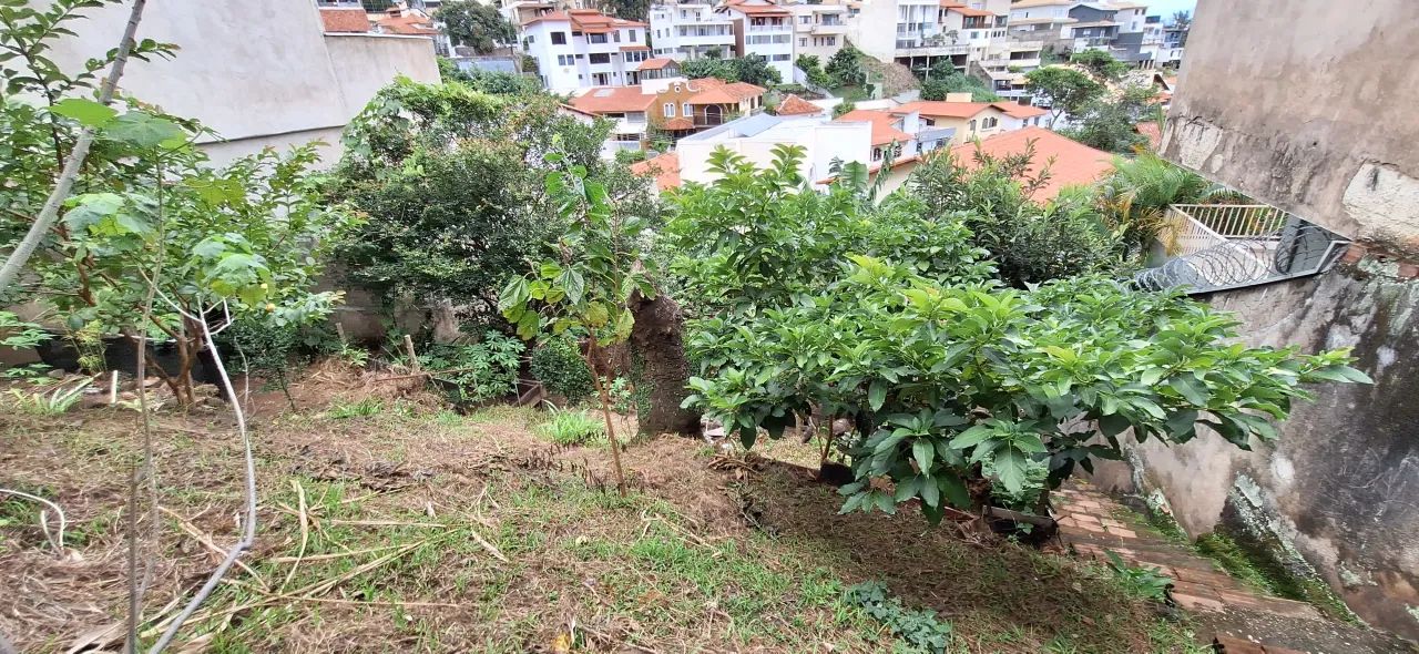 Lote para venda, 386m², Mangabeiras - Foto 2