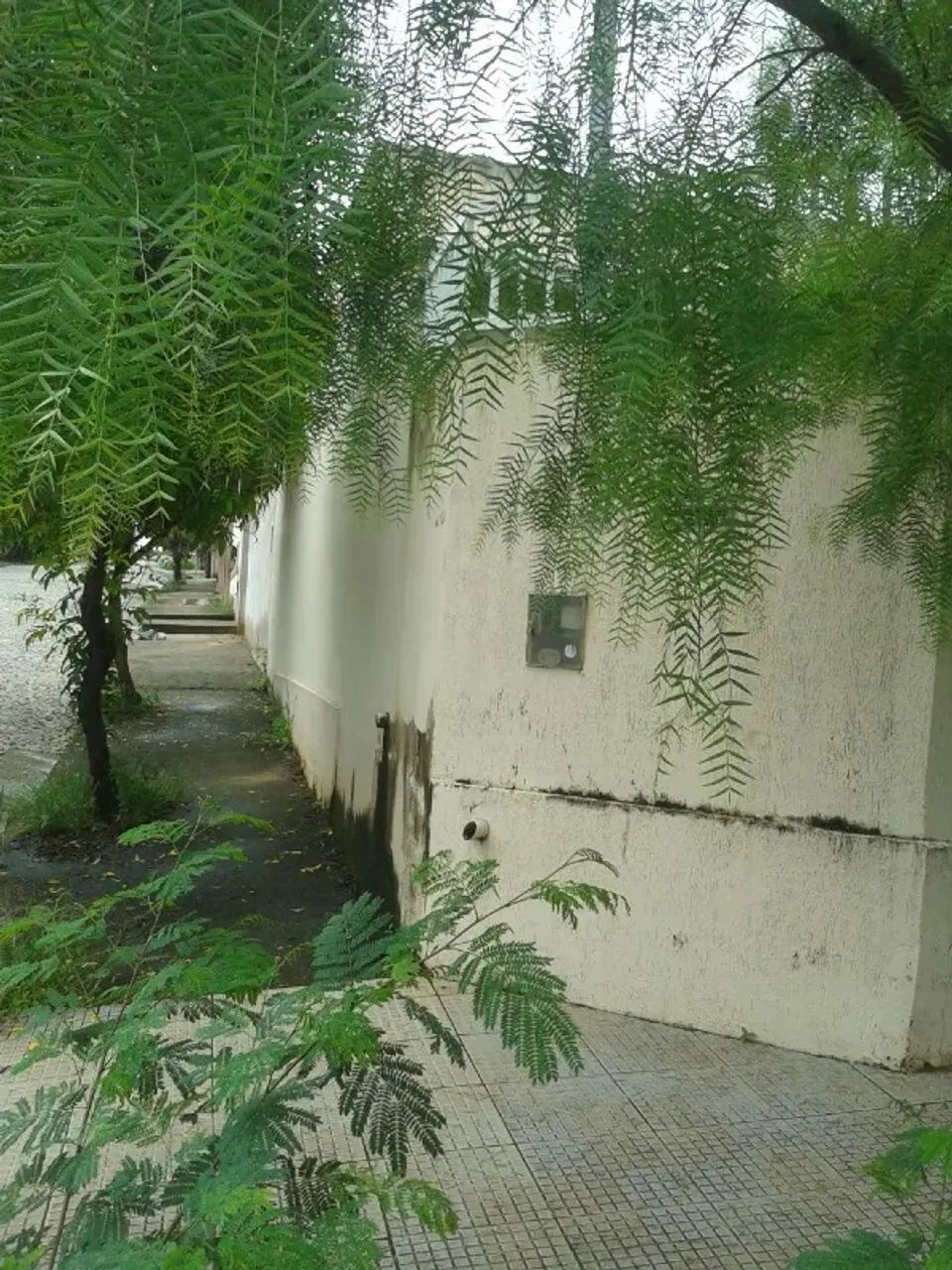 Casa à venda, 2 quartos, 1 vaga, Casa Nova - Divinópolis/MG - Foto 2