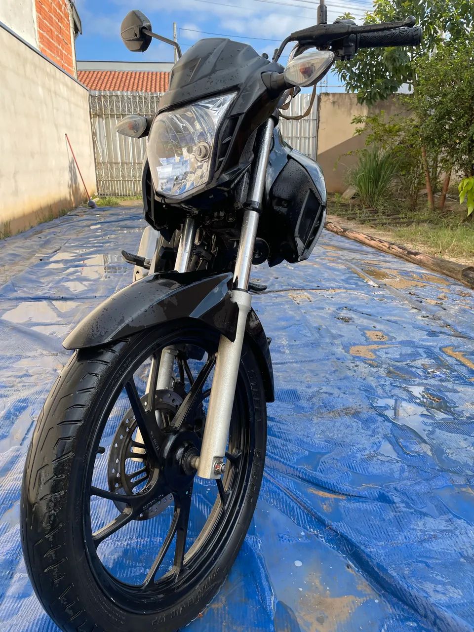 Cg Fan 2022 - Foto 3