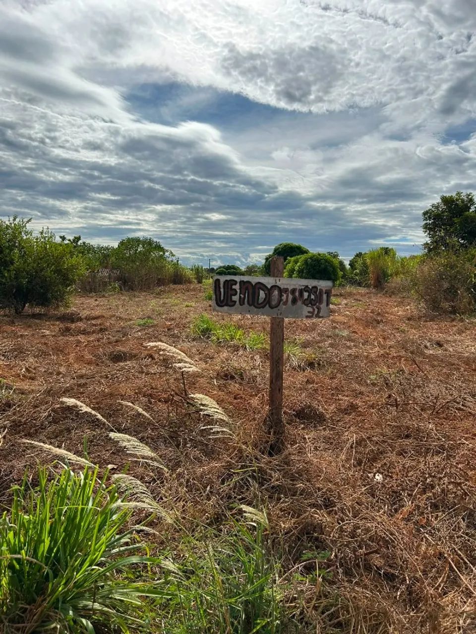 CHÁCARA A VENDA ENTRE PALMAS E PORTO NACIONAL - Foto 3