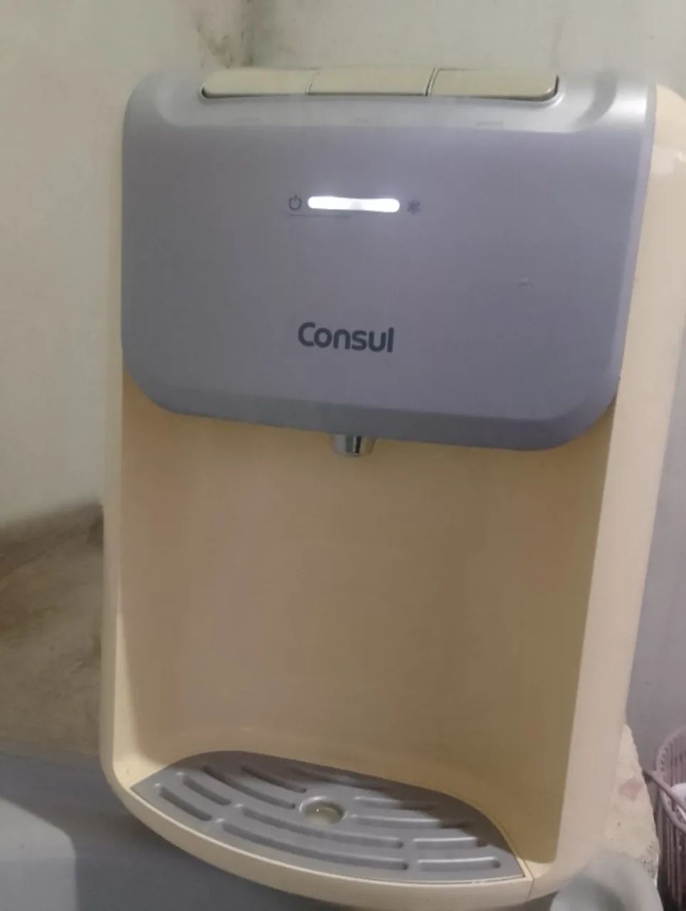 Galagua Consul 