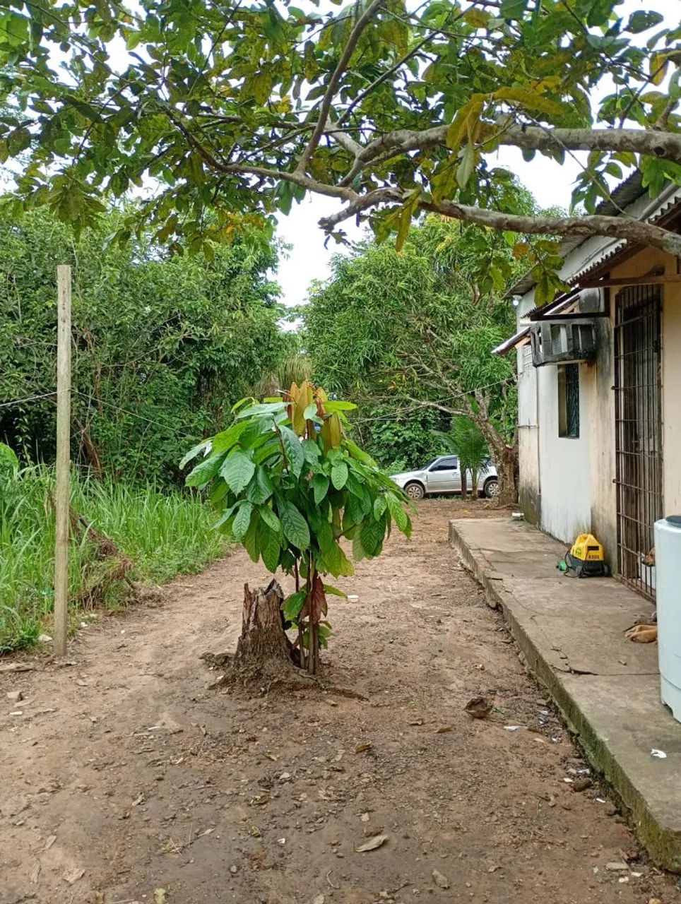 Disponível para venda  - Foto 3