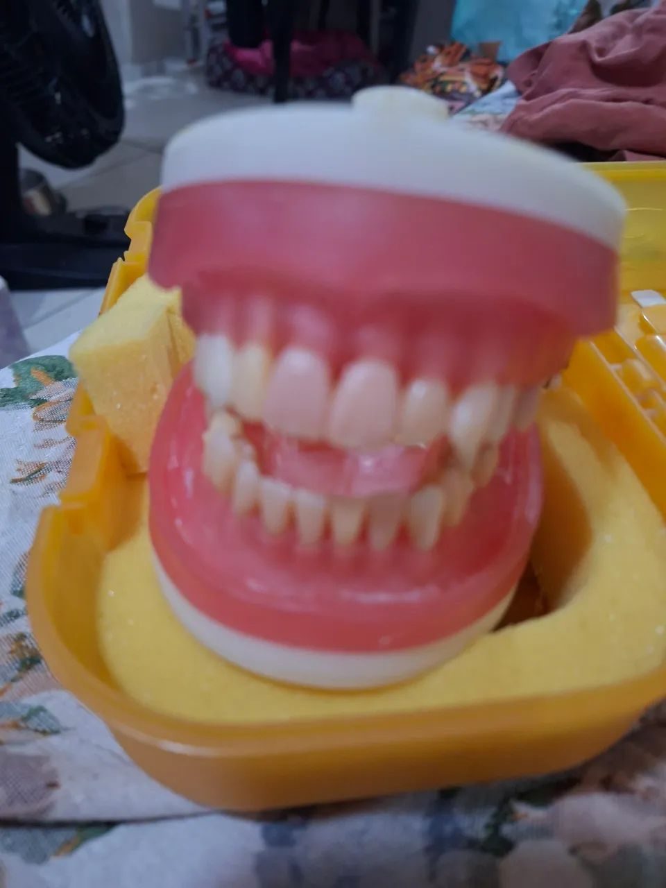 Modelo para dentistica e prótese 