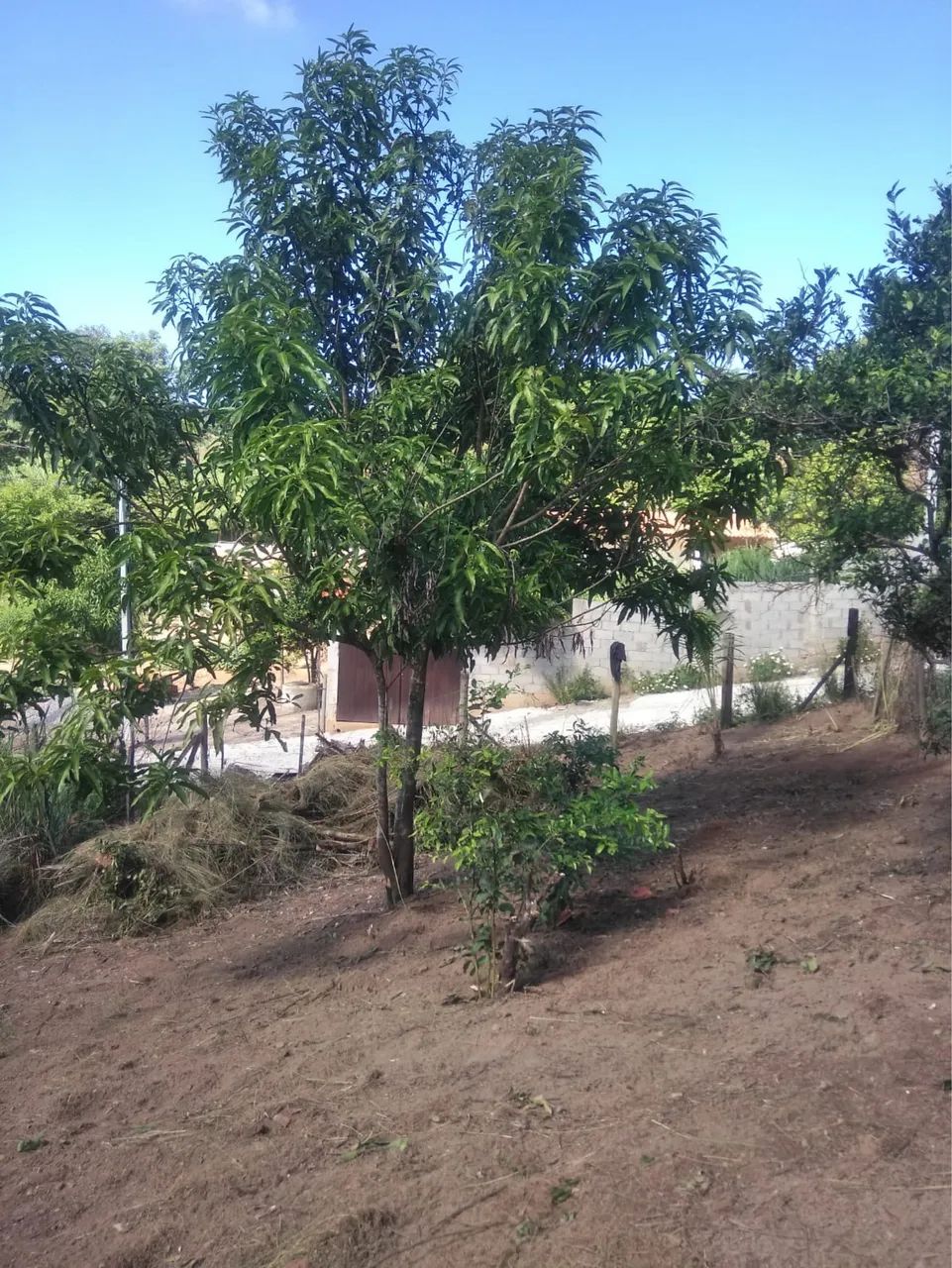 Vendo terreno ótima localidade
