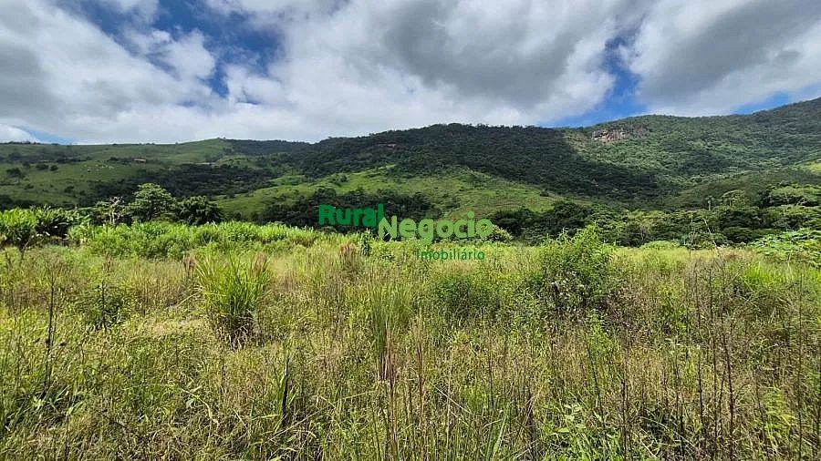 TERRENO PLANO PARA FORMAR CHÁCARA EM PINDAMONHANGABA-SP - Foto 5