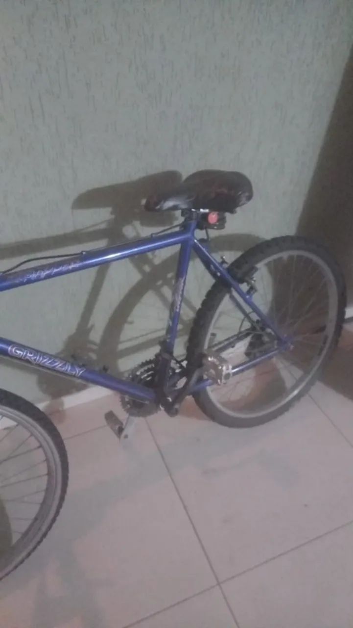 Bicicleta Mountain bike 