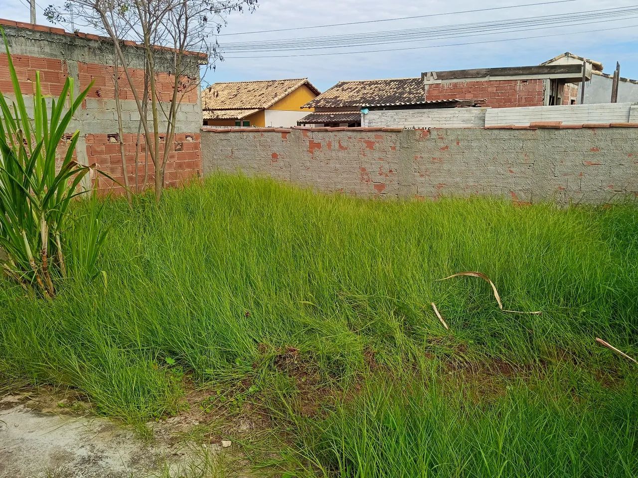 Terreno à Venda - Excelente Oportunidade!<br> - Foto 3