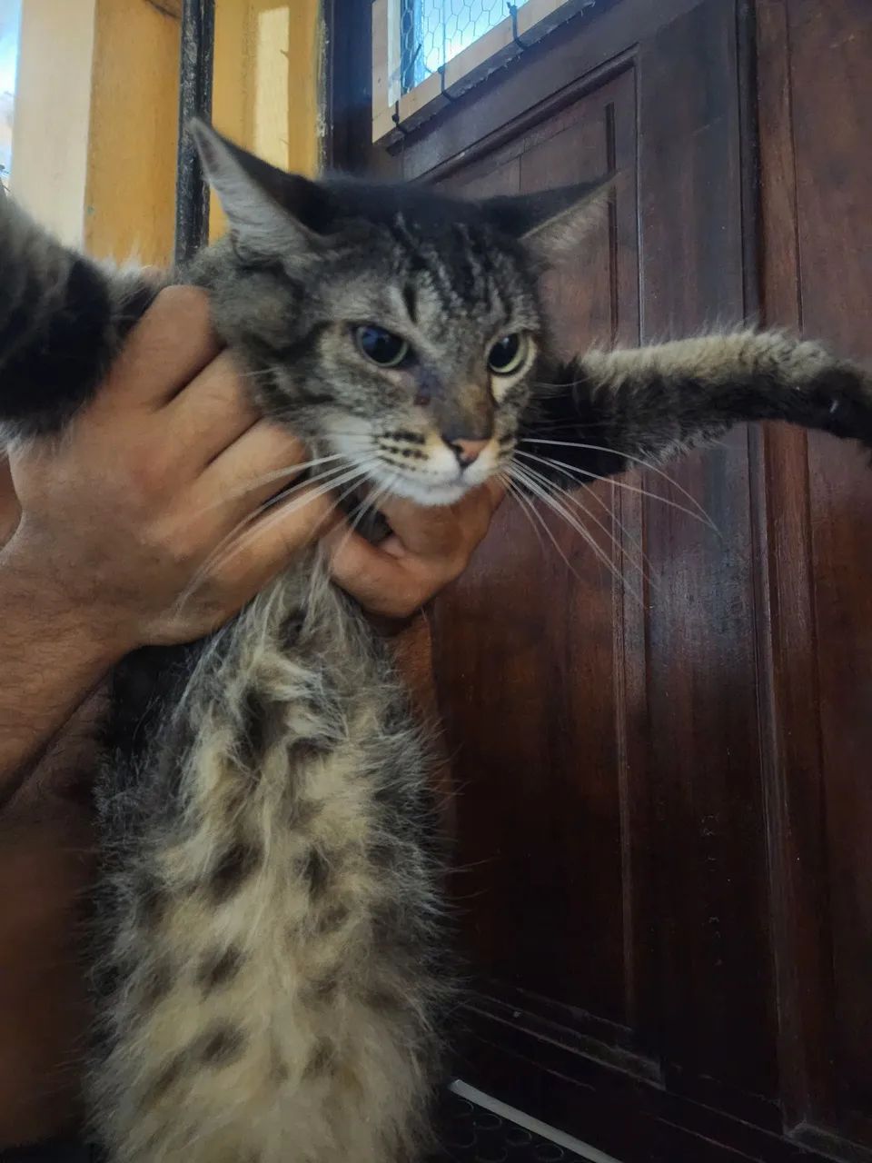 DOAÇÃO RESPONSÁVEL  - Foto 3