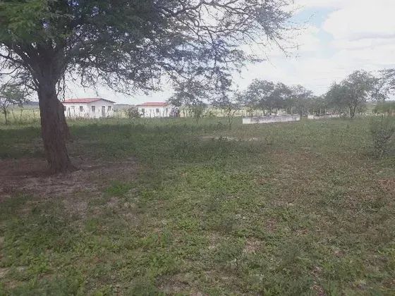 Excelente Fazenda com 570 hectares entre Tangara e serra caiada - Foto 5
