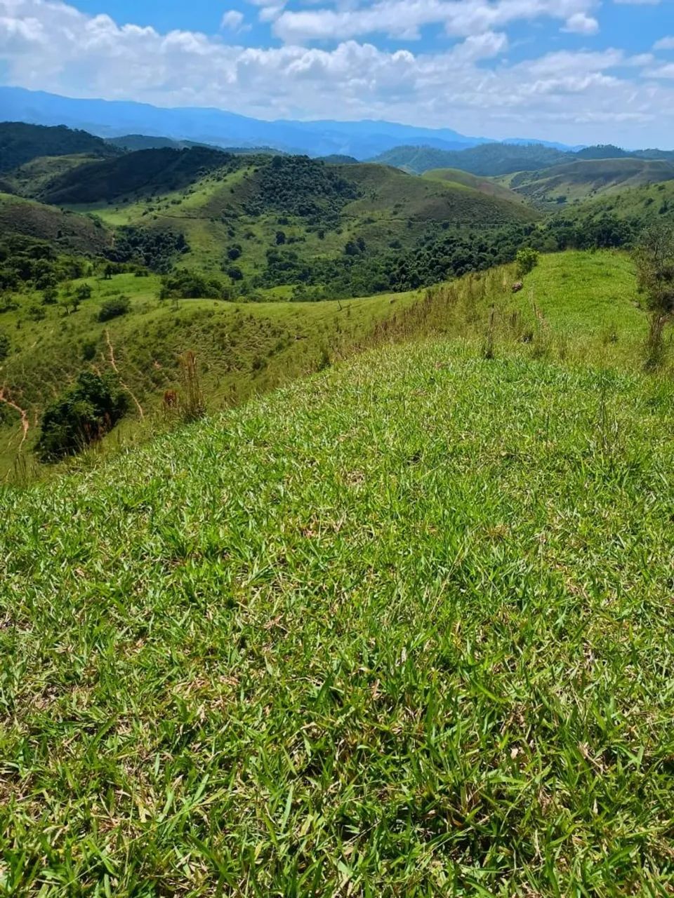 Valença - Fazenda com 93 alqueires  - Foto 2