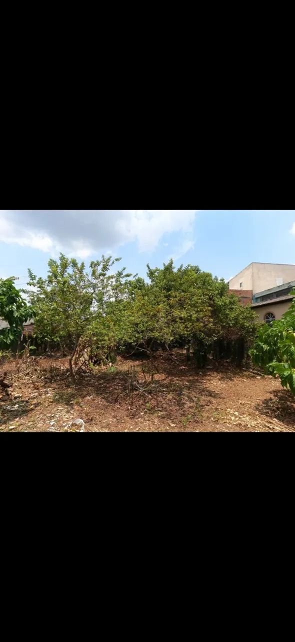 Terreno plano Alvorada - Foto 2