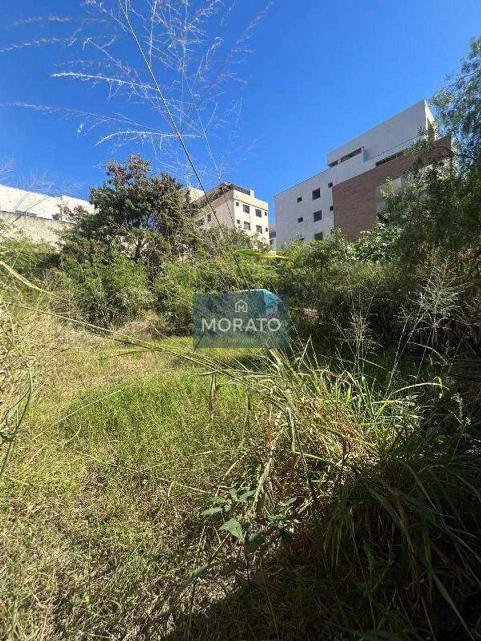 Lotes area 840 m² no Bairro Castelo - Foto 3