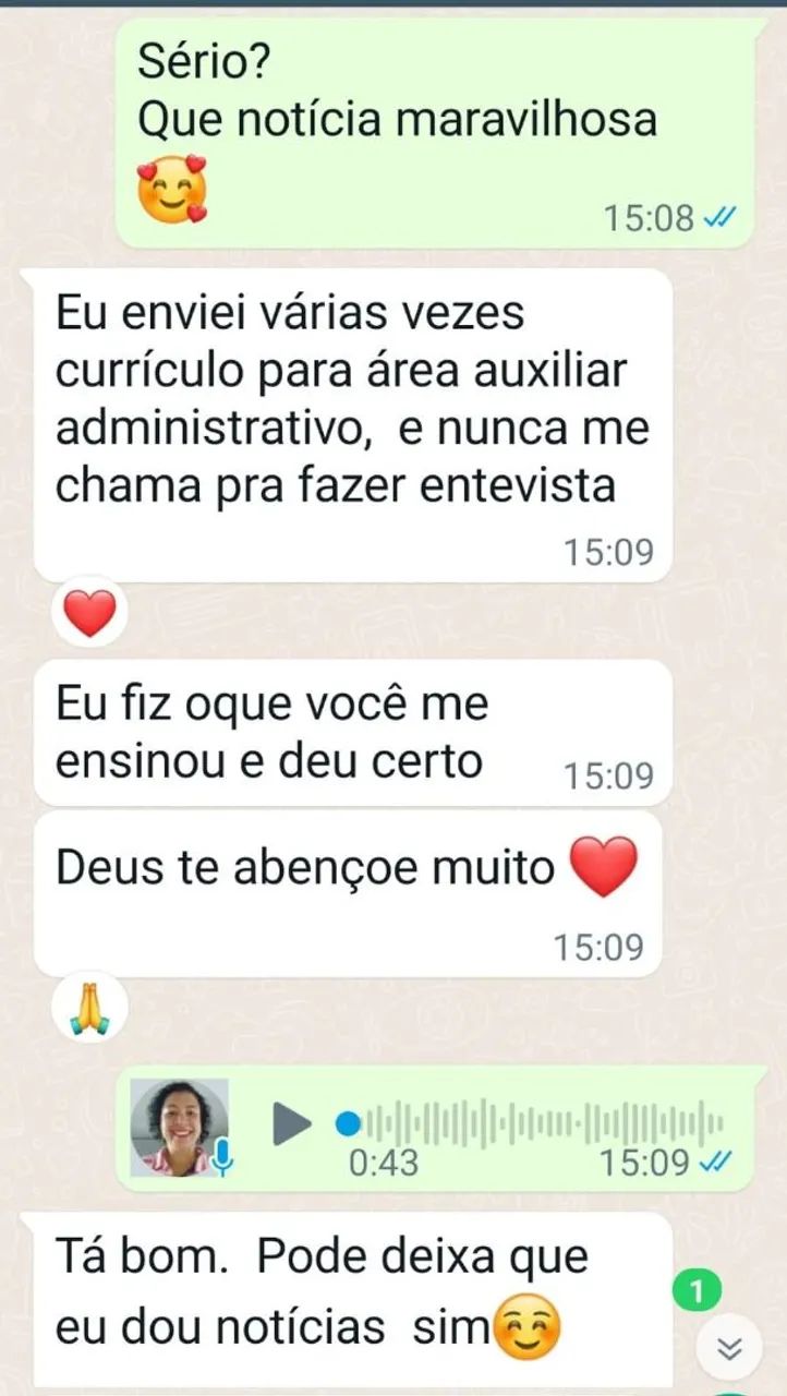 Currículo profissional e perfil no LinkedIn - Foto 4