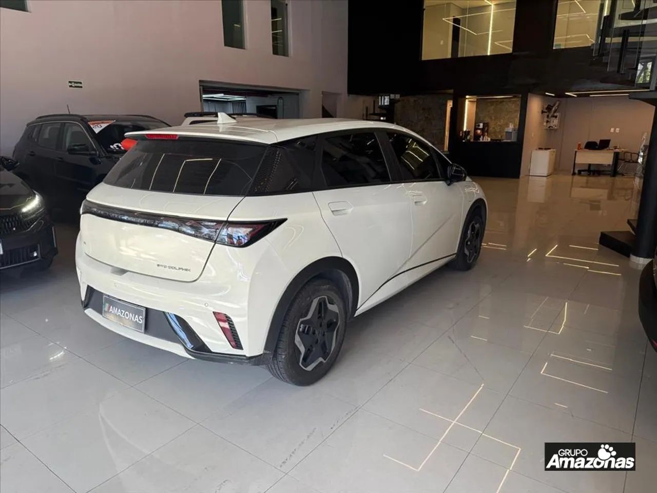 BYD Dolphin EV (Elétrico) 2024 - Foto 4